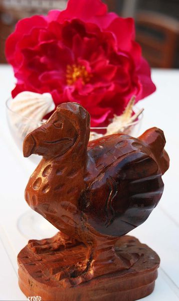 30mai2011-fete-des-meres-hortensia-laurier-oiseau-ciel-01.jpg