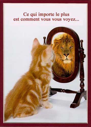 chat-se-voyant-lion-dans-un-miroir.jpg