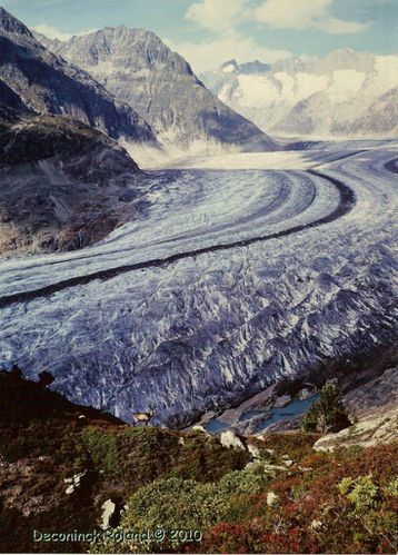 glacier aletch chamois