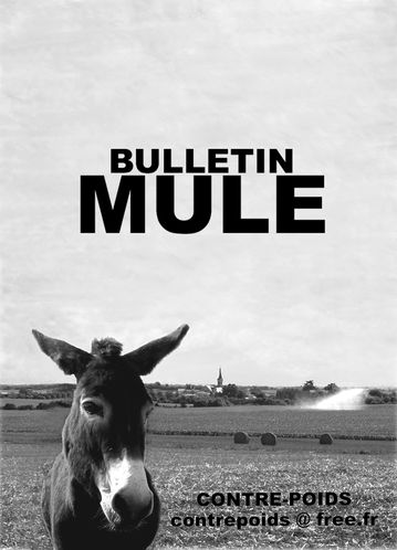bulletin-mule.jpg