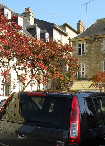 Place du Palais5