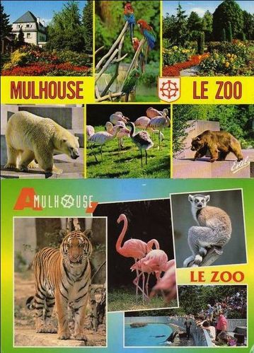 3. Zoo Mulhouse