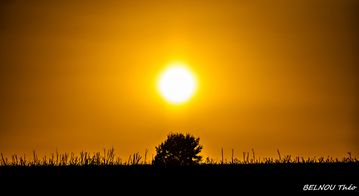 paysages 3020-2