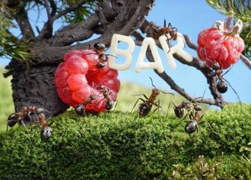 Life-of-Ants-Andrey-Pavlov-22_thumb.jpg