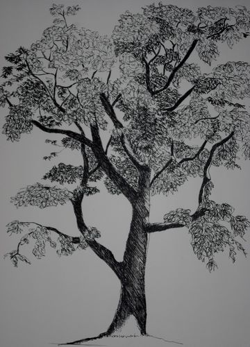 IMGP2942.JPG