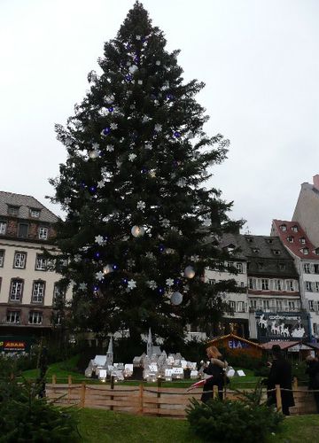 alsace-09_strasbourg-grand-sapin.JPG