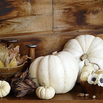 White-Pumpkin-Wedding-Decor.jpg