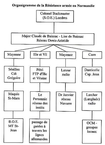 organigramme