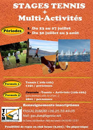 affiche-stages-multi2012mail.jpg