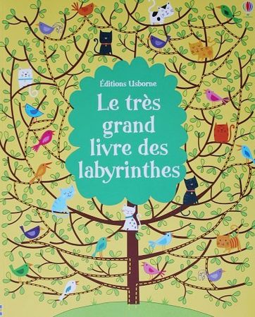 Le-tres-grand-livre-des-labyrinthes-1.JPG