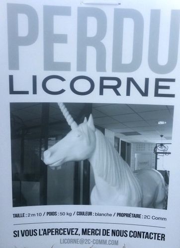 licorne-perdue-Valence.jpg