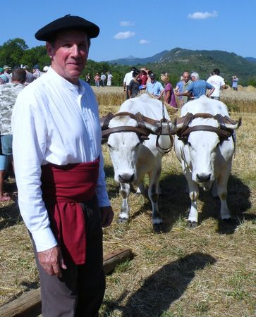 image027