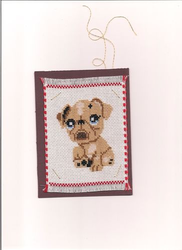 petshop-brode-par-andree.jpg