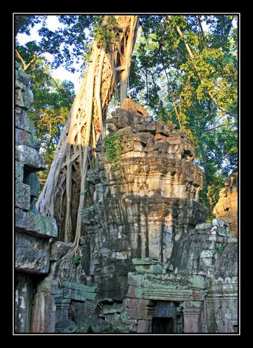 Ta Prohm010