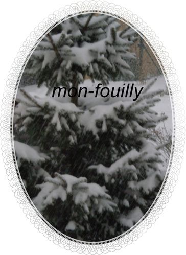 Photo-1270548797sapin.jpg