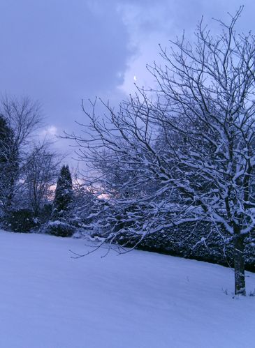 09.01.10 ce matin