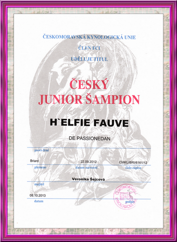 Elfie diplôme CH Tchéquie Junior