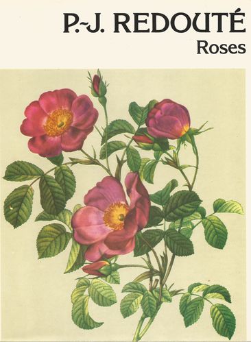 REDOUTE ROSES 1