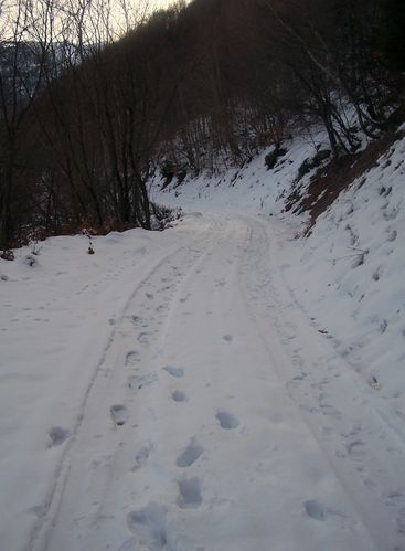 10.01-chemin-enneige.jpg