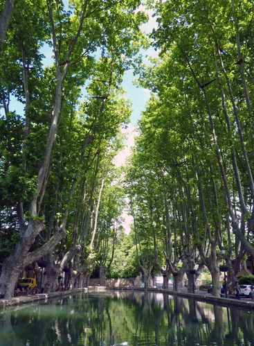 Cucuron le bassin