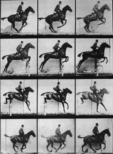 Edward Muybridge 2 (le saut du cheval)