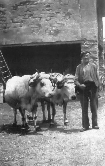 agriculture de montagne en Aude004