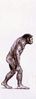 2-evolution-de-l-homme.jpg
