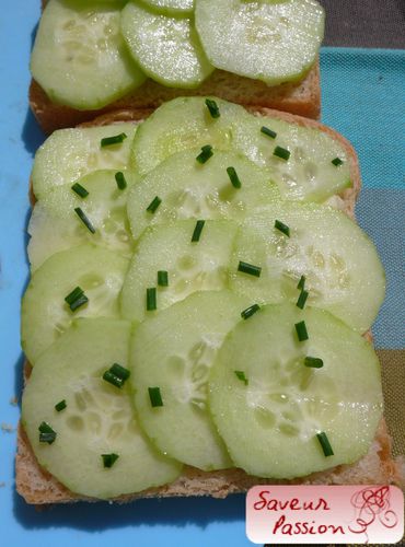 sandwichconcombre.jpg