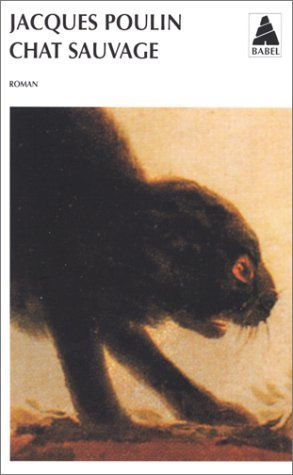 Chat-sauvage.jpg
