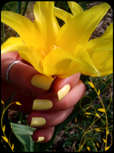 orly lemonade 020