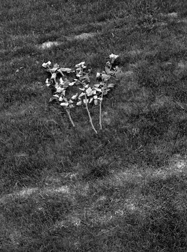 00-images2010-0961bw.jpg