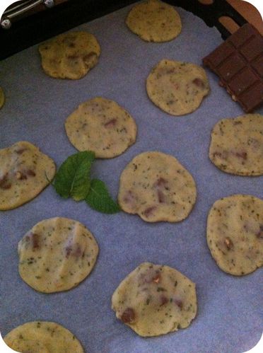 Cookies-Menthe-Choco-crus.jpg