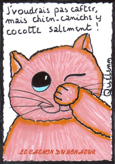 chat, dessin humour, dessin-de-chat-cafteur.jpg