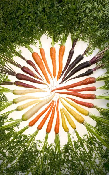 Carrots_of_many_colors-copie-1.jpg