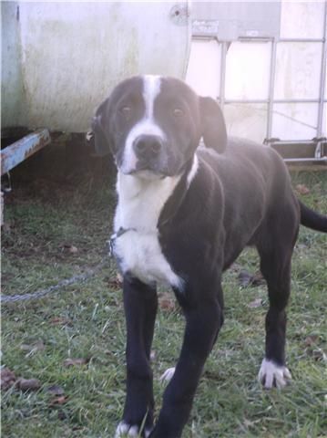 eiko-dogo-X-2.jpg