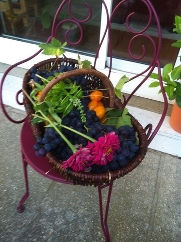 photo-copie-11.JPG