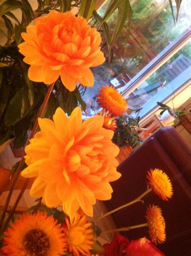 photo-copie-12.JPG
