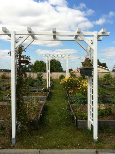 photo-copie-14.JPG