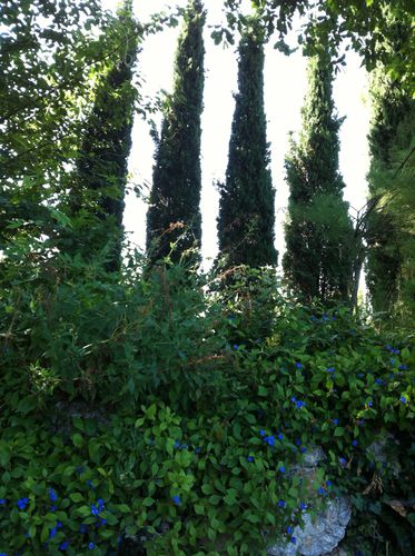 photo-copie-29.JPG