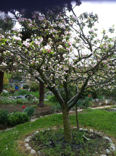 photo-copie-21.JPG