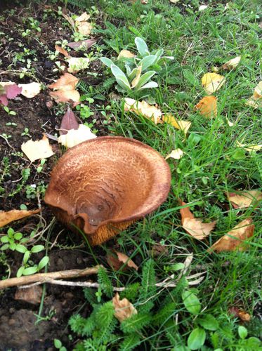 photo-copie-49
