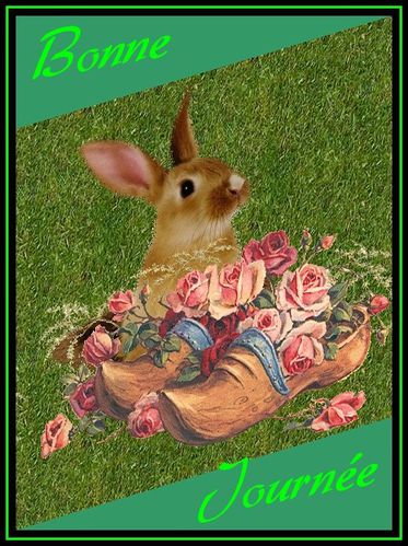 lapin