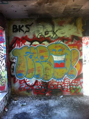 treo55-graffiti-paris-banlieue-5.jpg