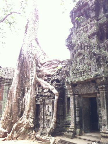 Angkor 0757