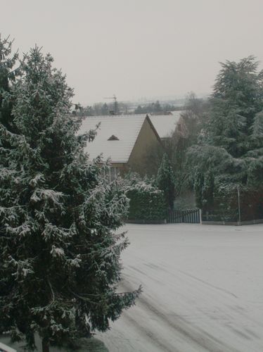 neige-3.jpg
