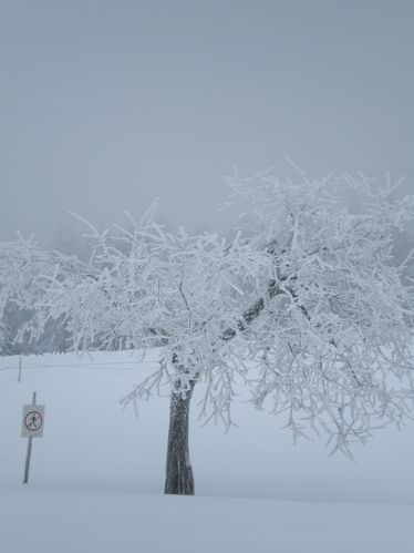 neige-7.jpg