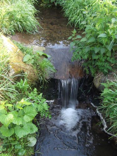 ruisseau.JPG