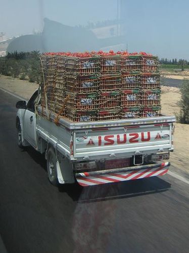 AAAA