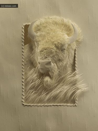 BISON nicholls
