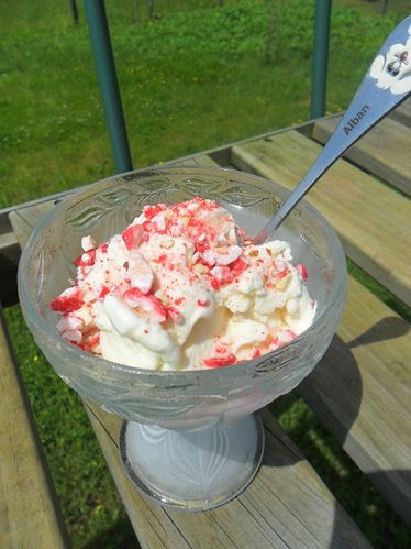 Mc Flurry vanillé